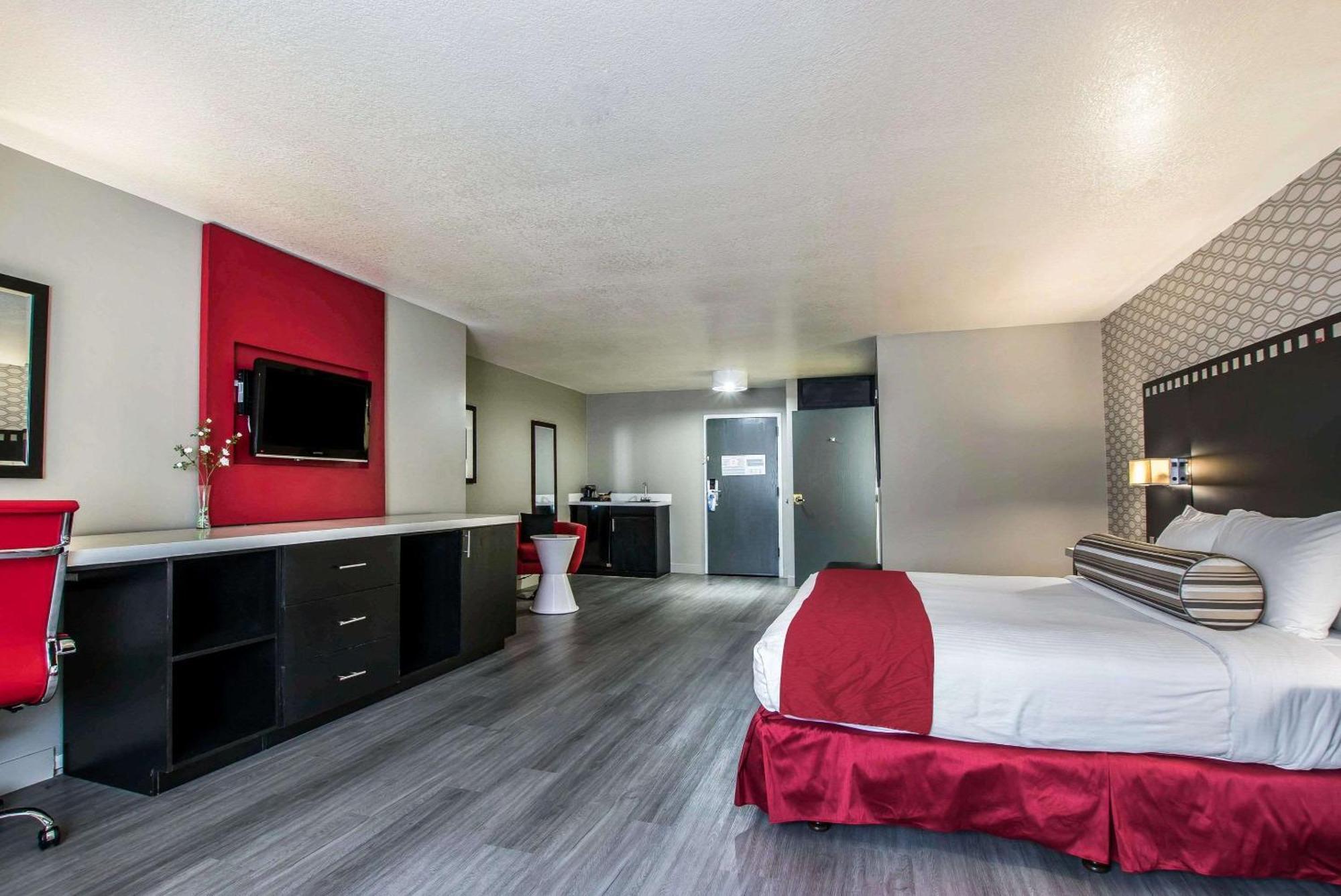 Standard Room 1 King Bed Non Smoking