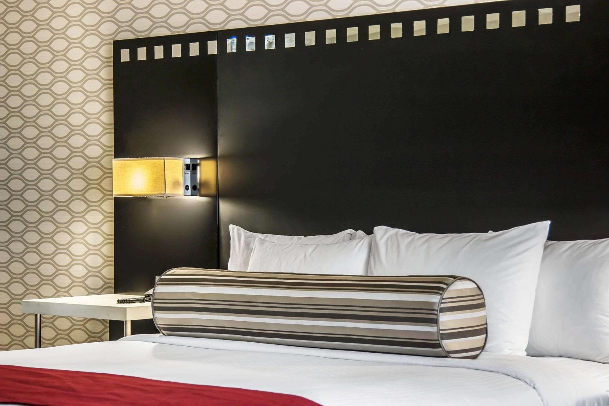 Standard Room 1 King Bed Non Smoking