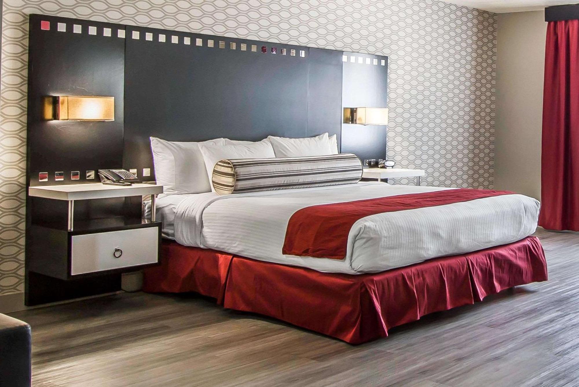 Standard Room 1 King Bed Non Smoking