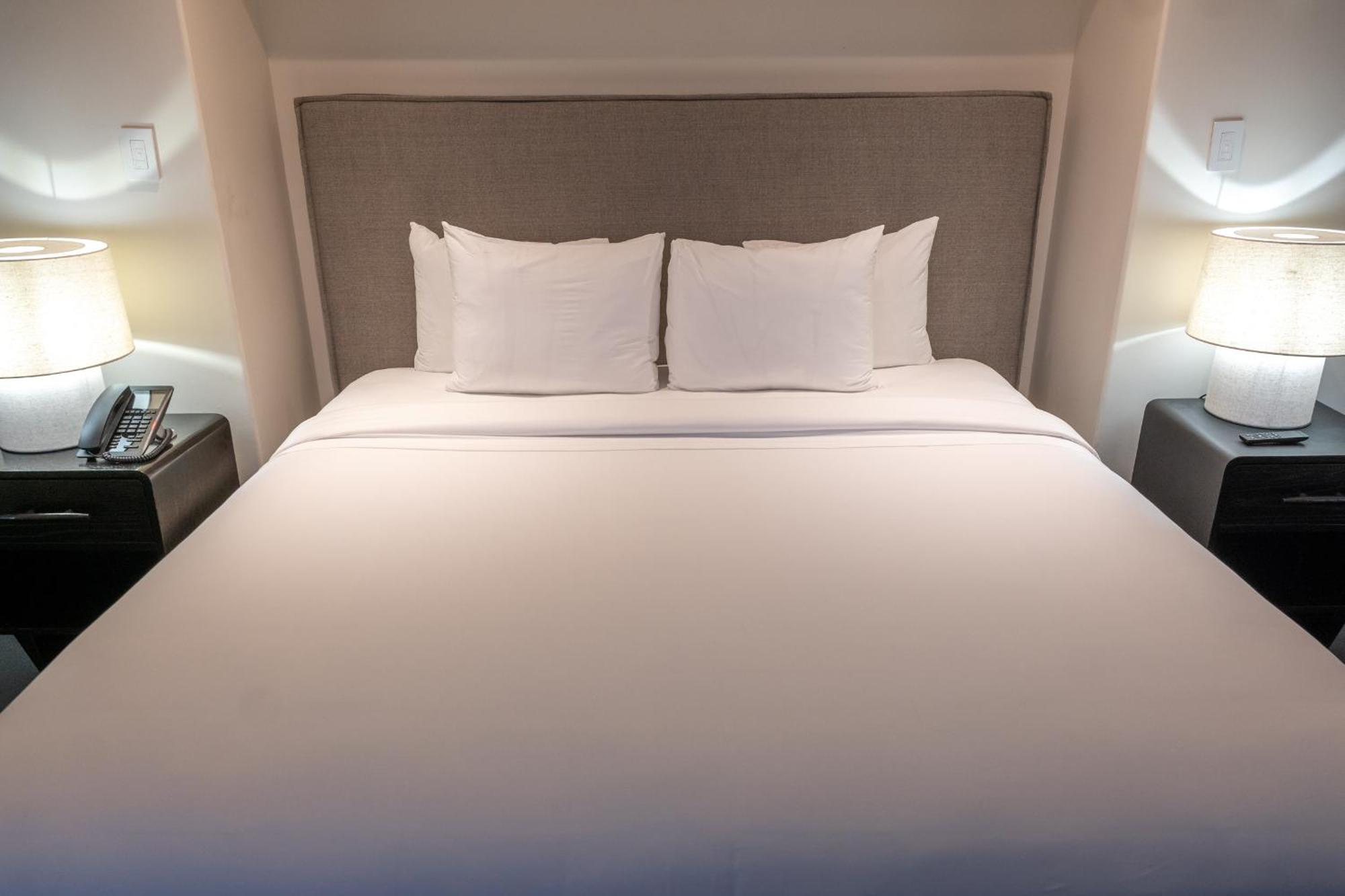 The Oasis Suite