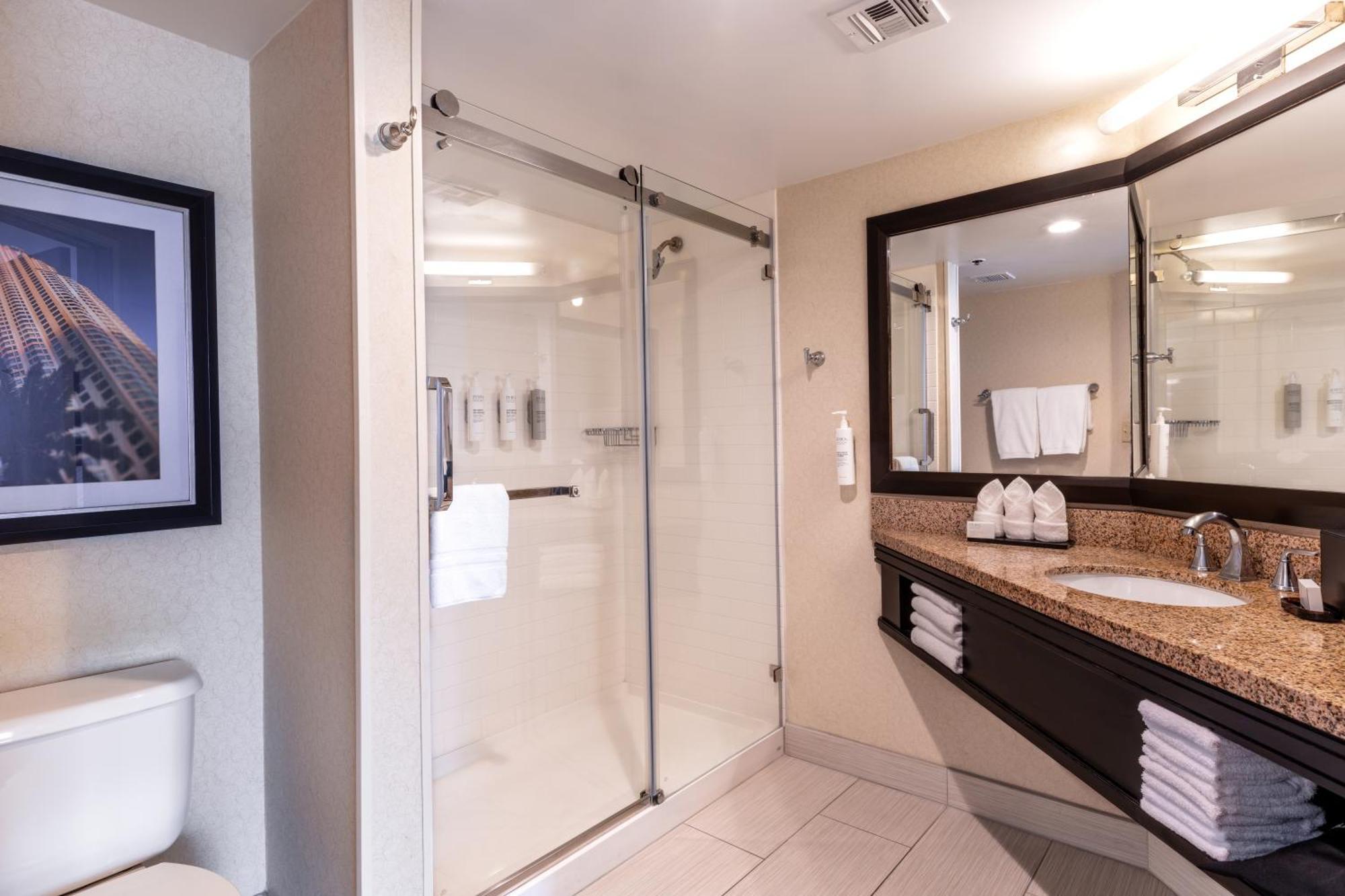 Two-Room King Suite Non-Smoking