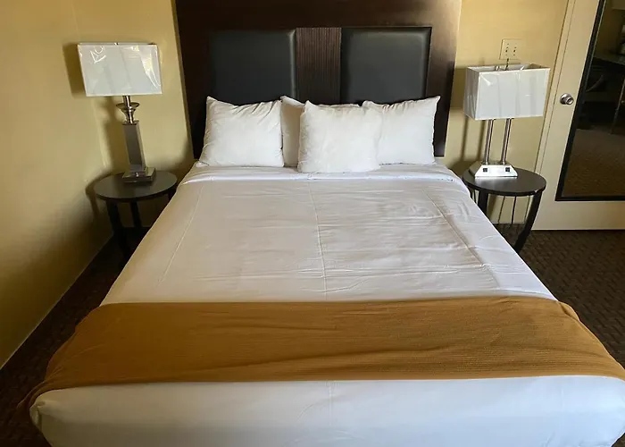 Hotel Silver Lake Los Angeles acceptant les animaux