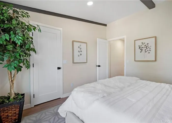 Stunning Mountainside Home With An Incredible View Los Angeles acceptant les animaux